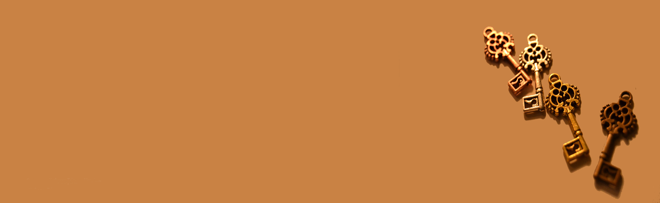 kathyryn tripp b7aclhjj6js unsplash web bar