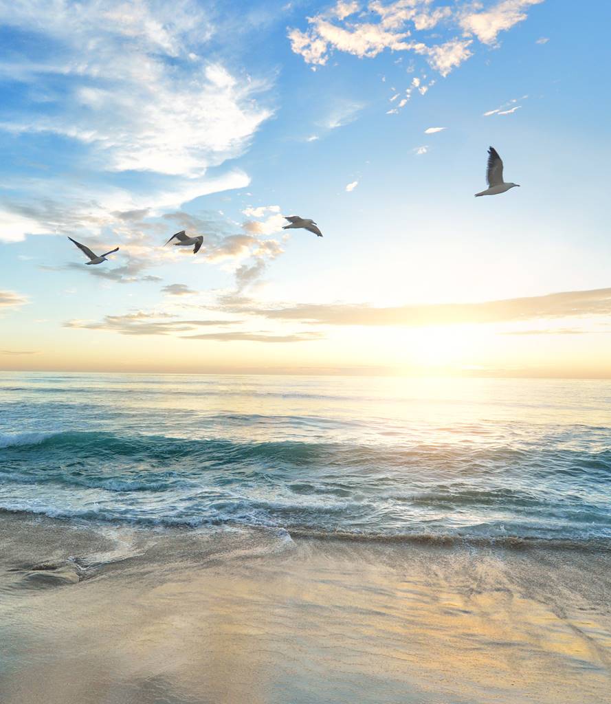 frank mckenna od9eozfsoh0 unsplash cerchio