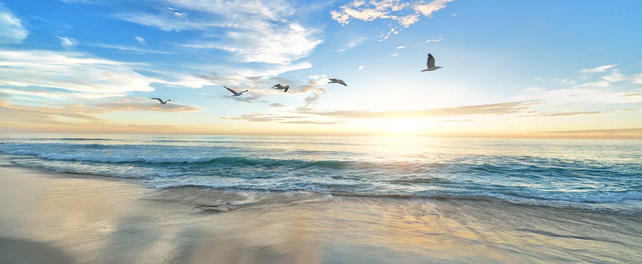 frank mckenna od9eozfsoh0 unsplash l
