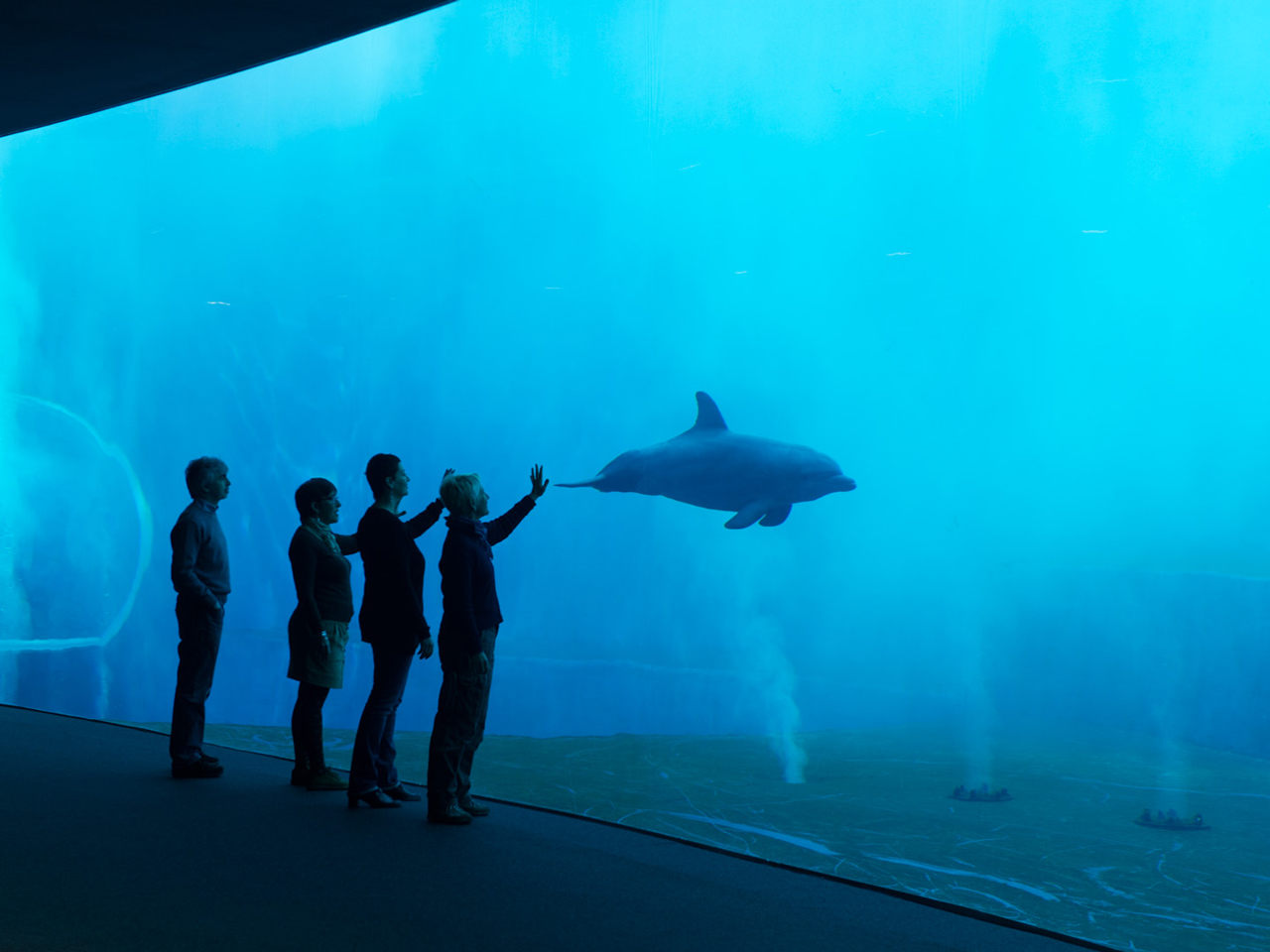 nuovopadiglionecetacei acquario di genova web h