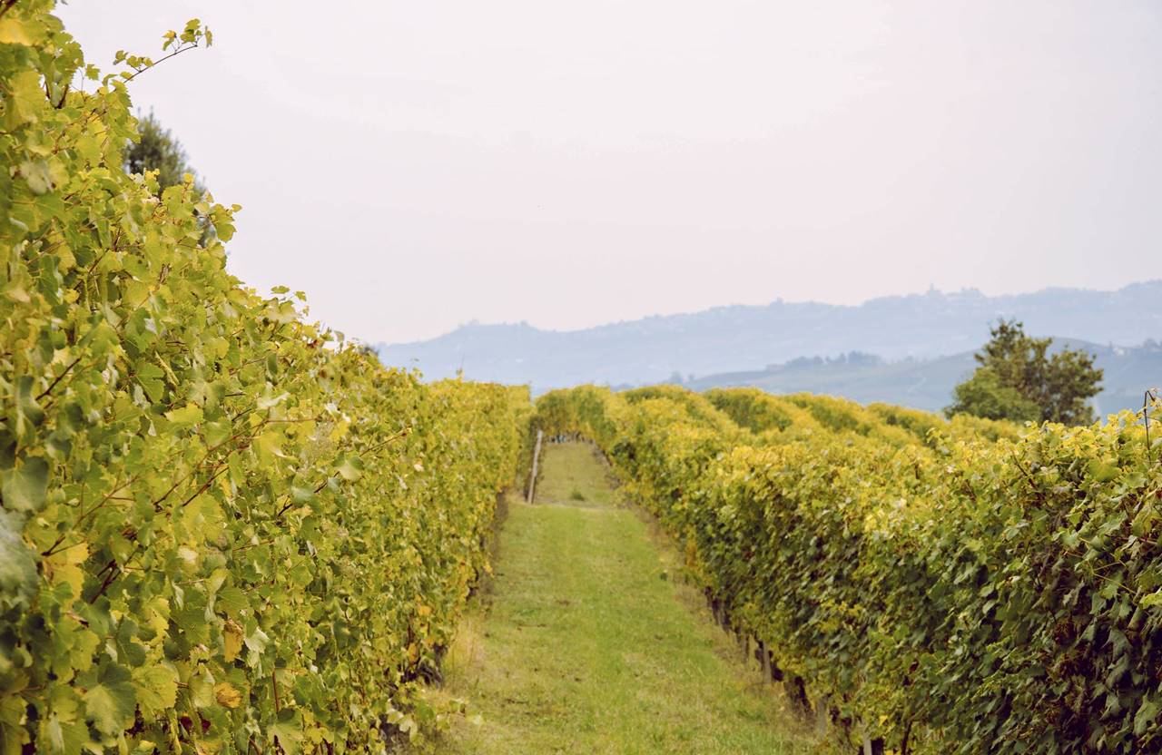 piemonte