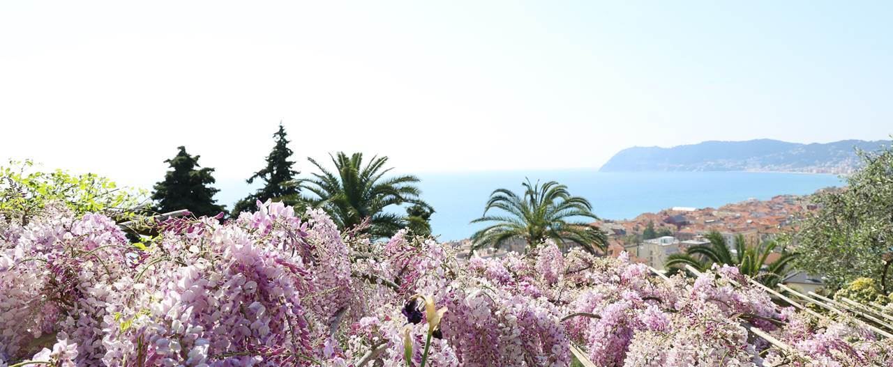 ph a le mure villa della pergola glicini web