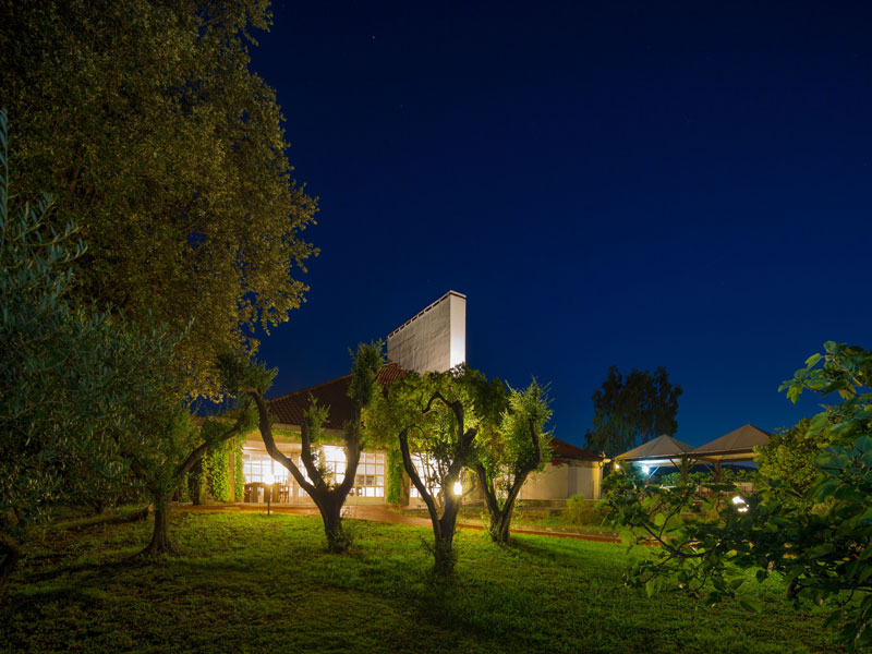 paracucchi 629web