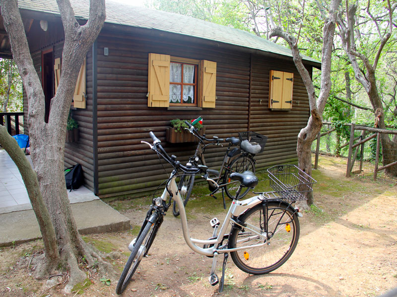 img 7803web
