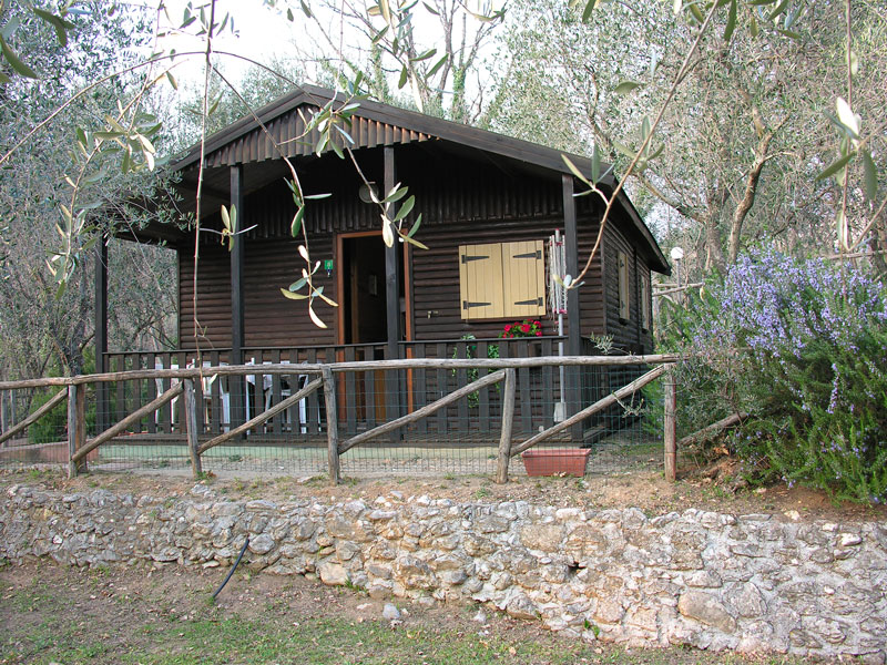 c5 e ulivi 2web