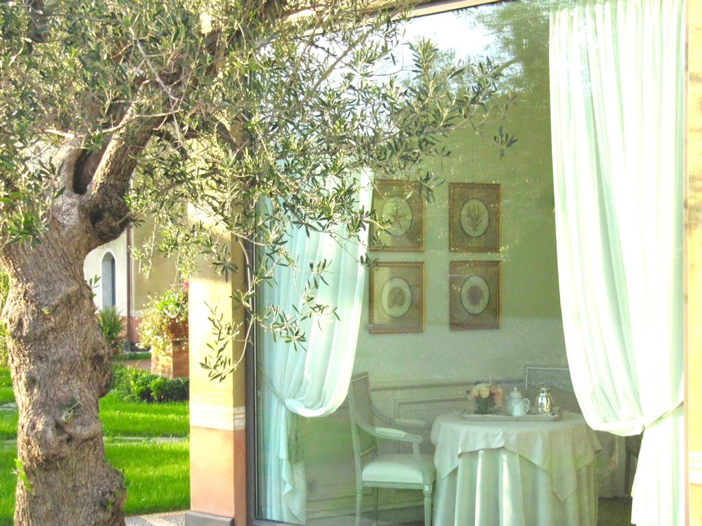 olive tree web