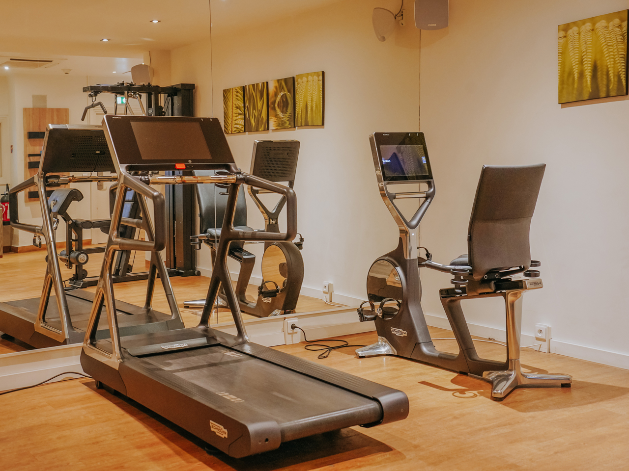 gym web